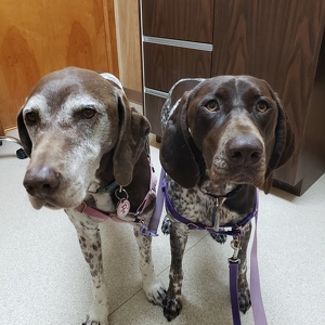 Fundraising Page: Trisha Struck